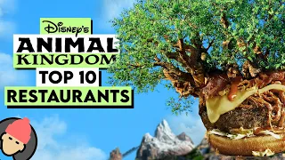 TOP 10 Best Restaurants at DISNEY'S ANIMAL KINGDOM