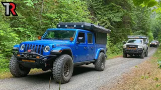 Deep in the Rain Forest of Washington's Olympic Peninsula