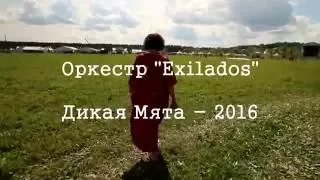 Exilados - Дикая Мята 2016 (Behind the Stage)