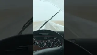 Hauling Grain In The Snow. 2016 Freightliner Cascadia