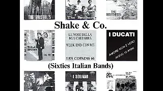 Various ‎– Shake & Co. (Sixties Italian Bands) 60's Pop Garage Rock Chanson Music ALBUM Collection