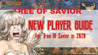 New Player Guide for Tree Of Savior in 2020