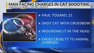 UPDATE: Police charge man that shot cat with crossbow