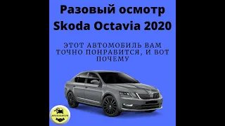 Skoda Octavia 2020, которую хотят все, даже если она на механике