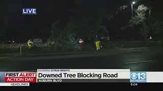 More trees come down in Citrus Heights after latest storm