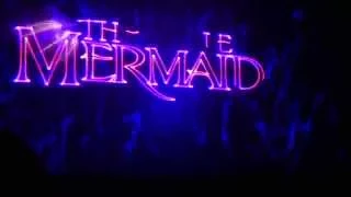 1 Voyage of the Little Mermaid 4K UHD -  Hollywood Studios Disney World