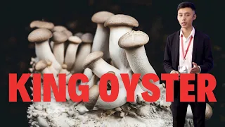 Sa tluka tui, Pa ( Mushroom ) | Ch&Ng Season - 3 | Episode - 2 | Mushroom Land