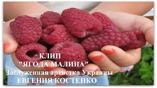 Клип  Ягода малина  Заслуженная артистка Украины ЕВГЕНИЯ КОСТЕНКО