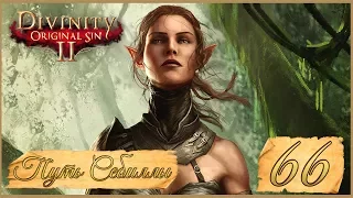 Divinity: Original Sin II ★ 66: Себилла — новая мать эльфов