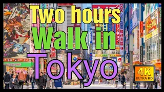 【4K】Tokyo Walk, Ueno,Shibuya,Ginza,Akihabara, 2020,Ocrober #Japan#tokyo#Shibuya#Akihabara#Ginza#Ueno