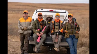 Getting your Pup into the Field for their First big hunt! Hex hits the field for Pheasant (Video 21)