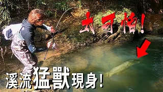 它會吃光溪流的魚?神秘物種發現 渓巨大魚と出会う River killer @Nature_FlyFishing 【漁樂爽報】Fishing Fun NEWS EP104#钓鱼#北部釣點#路亞