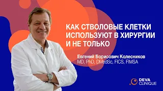 Как стволовые клетки используют в хирургии и не только - профессор Колесников