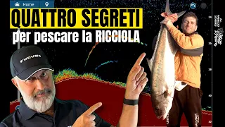 Traina RICCIOLE: 4 segreti per pescarle