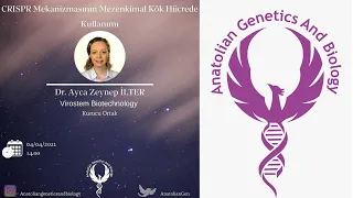 Dr. Ayca Zeynep İLTER ile ''CRISPR Mekanizmasının Mezenkimal Kök Hücrede Kullanımı''