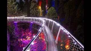 ~ " LOVELIGHTS " Valentines day lights festival at Capilano Suspension Bridge Park ! Must Watch !~