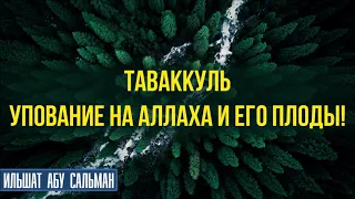 Таваккуль -упование на Аллаха и его плоды!