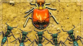 I Used Habit To Beat Trap Jaw Ants VS Big Headed Ants in Empires Of The Undergrowth