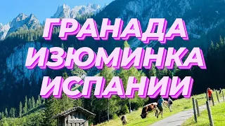 🇪🇸 #Гранада Изюминка #Испании