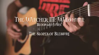 The Slopes of the Blessure | The Witcher 3 Soundtrack | Guitar Cover