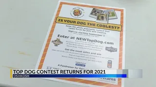 Top Dog Contest 2021