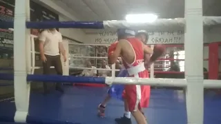 Толя Ломаченко. ПЕРВЫЙ БОЙ! Vasyl Lomachenko SON first boxing fight! (red corner) #LOMA_Jr