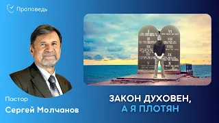 Закон духовен, а я плотян | Сергей Молчанов