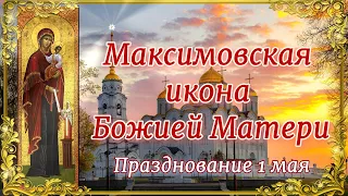 Максимовская икона Божией Матери. Празднование 1 мая.