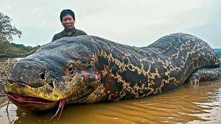 Top 10 Biggest River Monsters Ever Caught