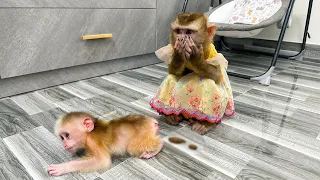 Monkey Kaka called for Mom when Monkey Mit pooped on the floor