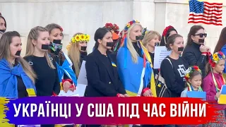 🇺🇦 🇺🇸 Ворог об’єднав українців у США? Американці українського походження під час війни