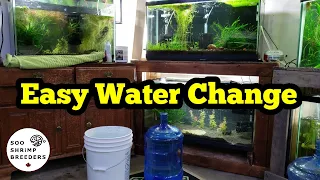 Shrimp Tank Water Change...Simple and Easy