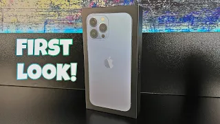 iPhone 13 Pro Max - [Not the Clone] First Impressions & Benchmark!