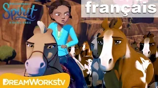 La débandade ! | SPIRIT AU GALOP EN TOUTE LIBERTÉ @DreamWorksTVFrancais