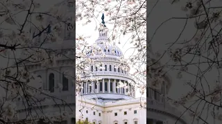 治愈视频 最好不相见，如此便可不相恋。最好不相知，如此便可不相思。——仓央嘉措＃短视频