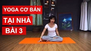 Yoga cơ bản tại nhà - Bài 3: Luyện tập sử dụng âm thanh Yoga cùng Nguyễn Hiếu Yoga