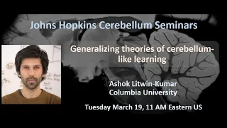 Ashok Litwin-Kumar: Generalizing theories of cerebellum-like learning