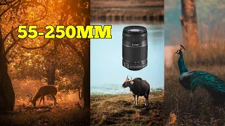 Wildlife photography with 55-250mm | Canon 55-250mm lens | CANON 1200D