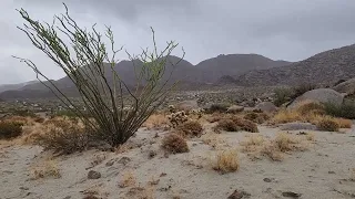 Waterfalls in the Desert. Tropical Storm Hilary hits Southern California . Off-roading.