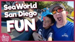 Rides, Shows, and Animal Exhibits at SeaWorld San Diego