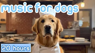 Dog Music: Relaxation Therapy | 20 HOURS of The Best Anti-Anxiety Music for Dogs!