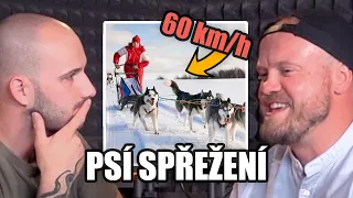 Co udělají psi, když spadnete ze spřežení?