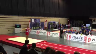 Tumbling World Cup France 2015 - Mens Prelims