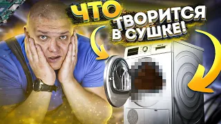 О боже! Что творится в МОЕЙ СУШКЕ 😱