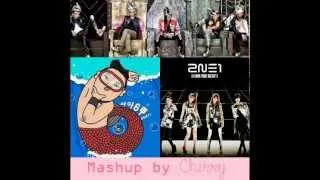 I'm The Fantastic Gangnam Style Baby - 2NE1 BIGBANG PSY MASHUP - YG