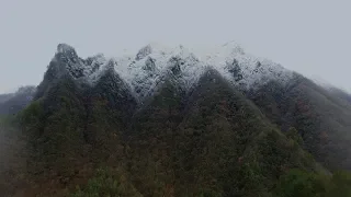 CGTN Nature: Shennongjia Series | Episode 2: Watchmen of the Mountains