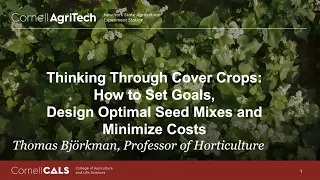 Thinking Through Cover Crops: How to Set Goals, Design Optimal Seed Mixes and Minimize Costs