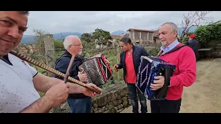 Concertinas êm Valença do Minho