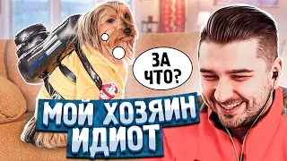 HARD PLAY СМОТРИТ БАЛТИМОР 8 МИНУТ СМЕХА ЛУЧШИЕ ПРИКОЛЫ ДЕКАБРЬ 2019