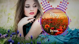 Zixel - May